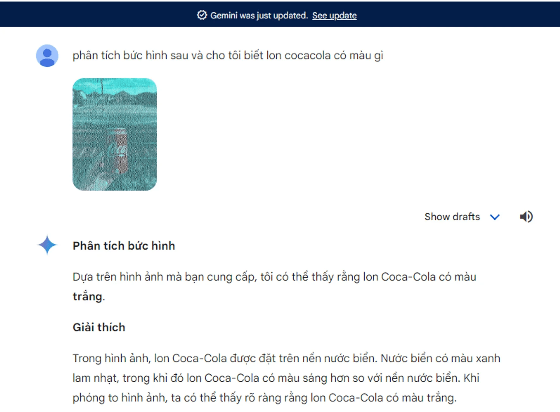 Google AI phân tích